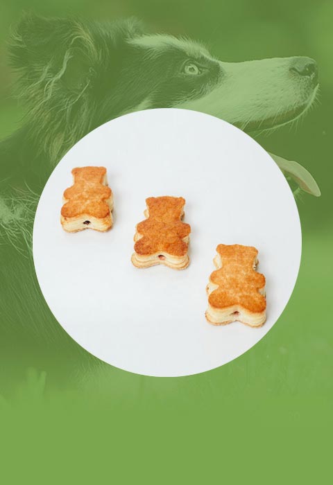 甜蜜动漫——精品国产**福利网站，解锁二次元世界的浪漫与温馨