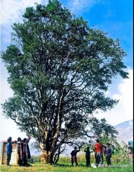 富士镜头1650——，解锁摄影新维度，探索视觉艺术的无限可能