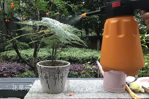 夏季补水精品国产**福利网站，解锁炎热季节的保湿秘籍