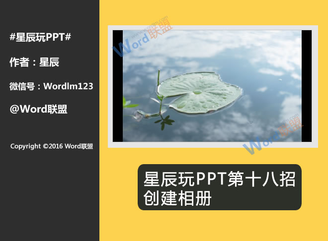 异瞳的动漫久久久久精品国产亚洲av含羞草，探索神秘世界，解读异色瞳孔的秘密