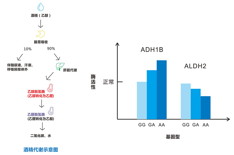 镜头焦段区别精品国产**福利网站，解锁摄影艺术的神秘面纱