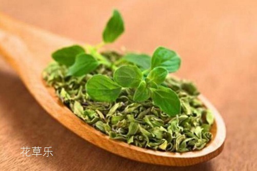 胶原蛋白主要精品国产**福利网站，美丽肌肤的秘密武器与全面解析