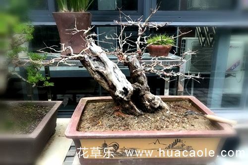 对称结构镜头精品国产**福利网站，电影艺术中的美学新维度