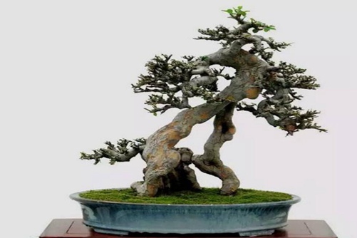 爱你动漫精品国产**福利网站，那些年，我们一起追过的二次元梦